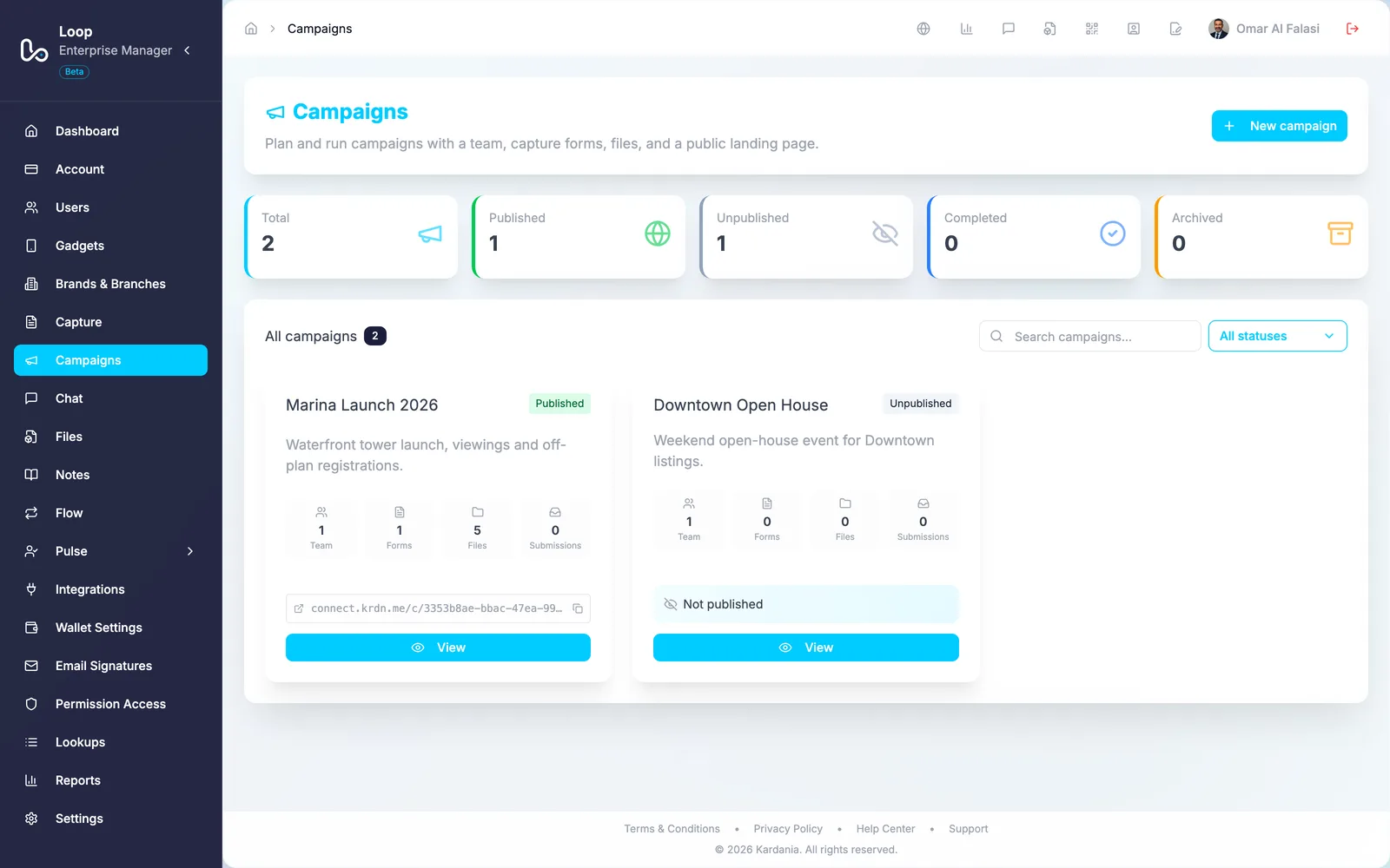 Loop campaigns